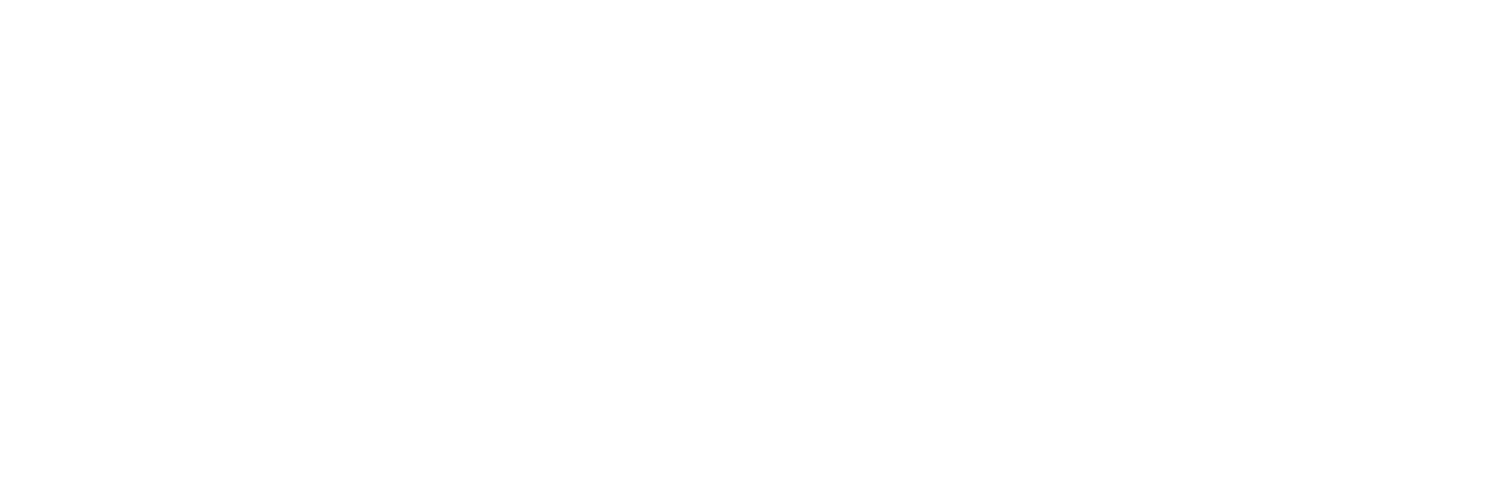 FAST logo