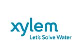 xylem