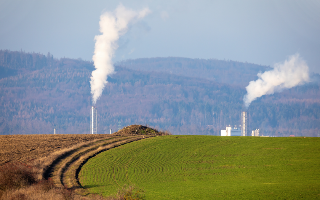 CONTROLLO E RIDUZIONE DELLE  EMISSIONI IN ATMOSFERA DELLE ATTIVITA’ PRODUTTIVE