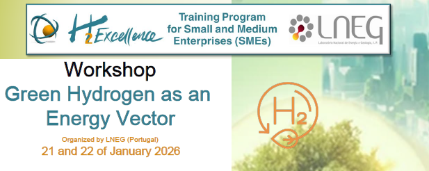Workshop online: Green Hydrogen as an Energy Vector