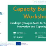 H2Excellence Capacity Building Online Workshop